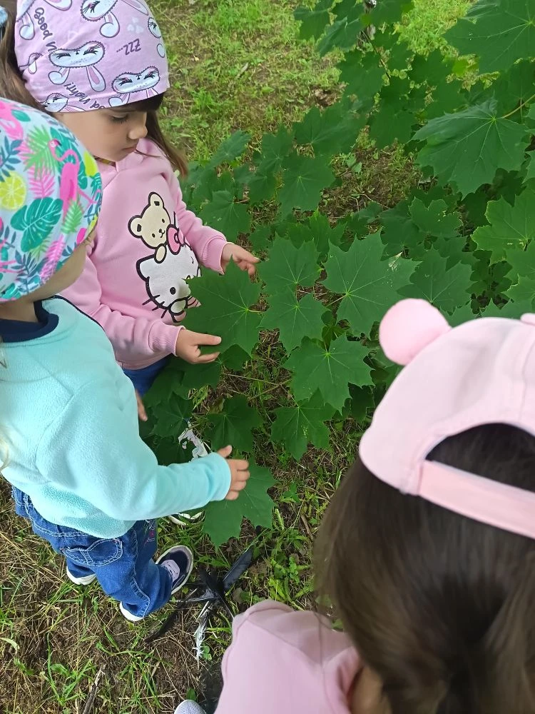 🌸За природу в ответе и взрослые, и дети! 
На этой неделе наши юные эклоги превращались в защитников