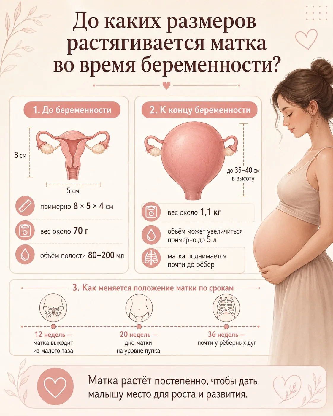 Интересный факт ❤️

За беременность матка увеличивается не просто «немного». Её вес может вырасти пр