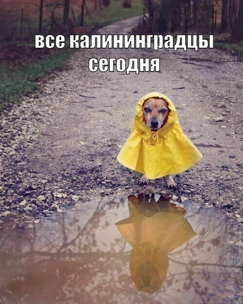 Погодка сегодня так себе, но это не повод унывать❤️