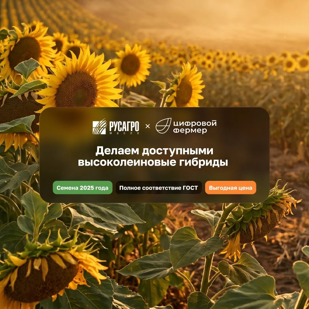 Премиальные семена стали доступнее