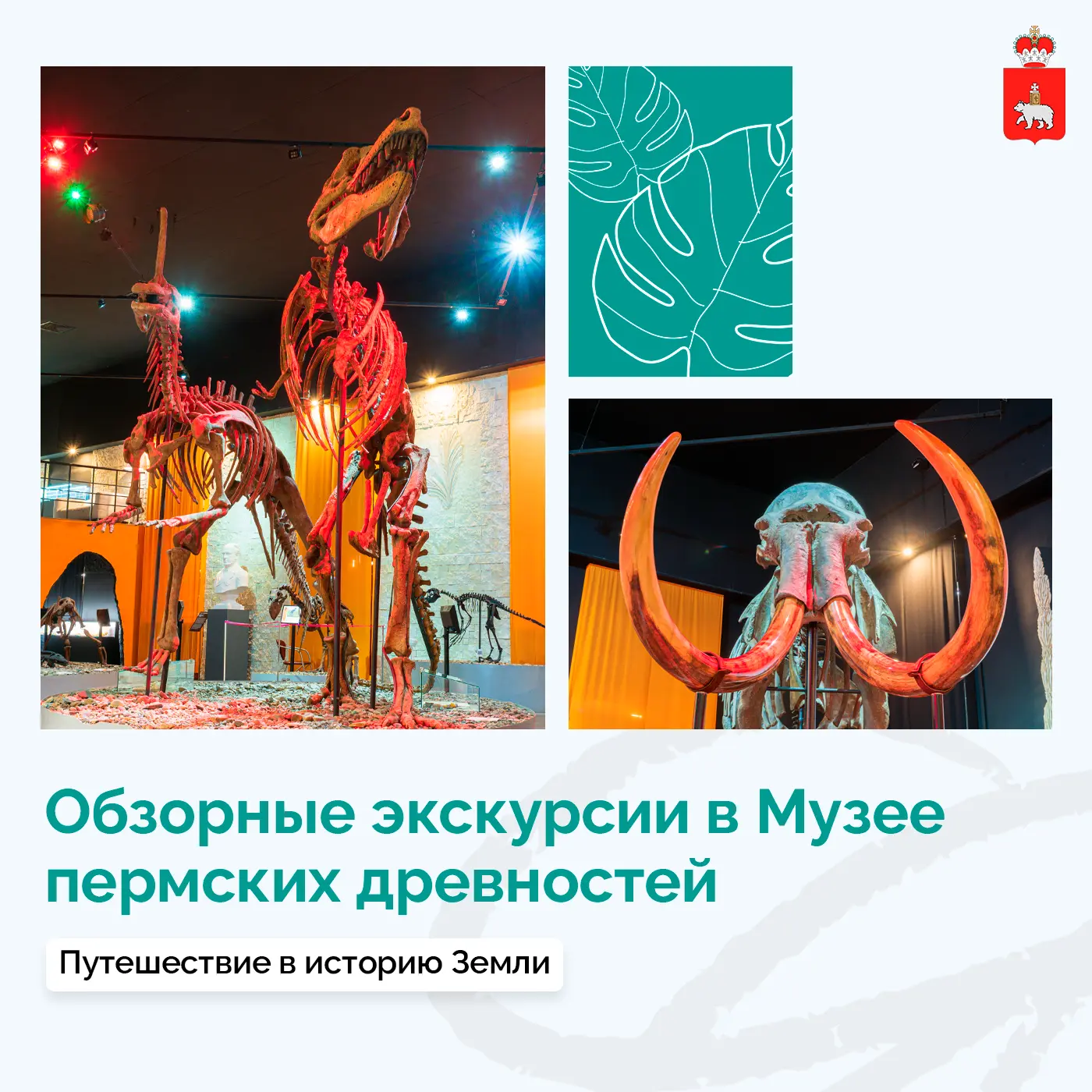 Погружаемся в историю Земли вместе с Музеем пермских древностей

В июне музей приглашает познакомить
