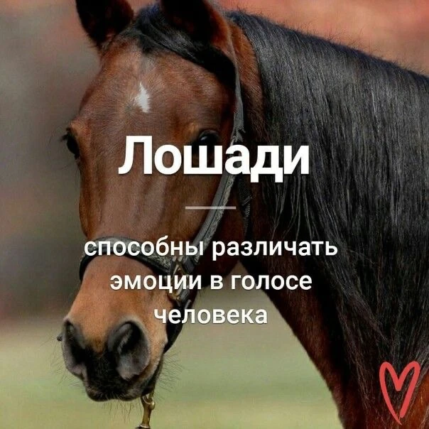 Признавайтесь, знали?