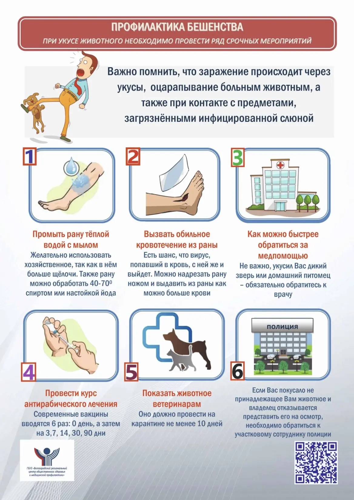 ⚠️ КРАТКО О БЕШЕНСТВЕ: ЭТО НАДО ЗНАТЬ!