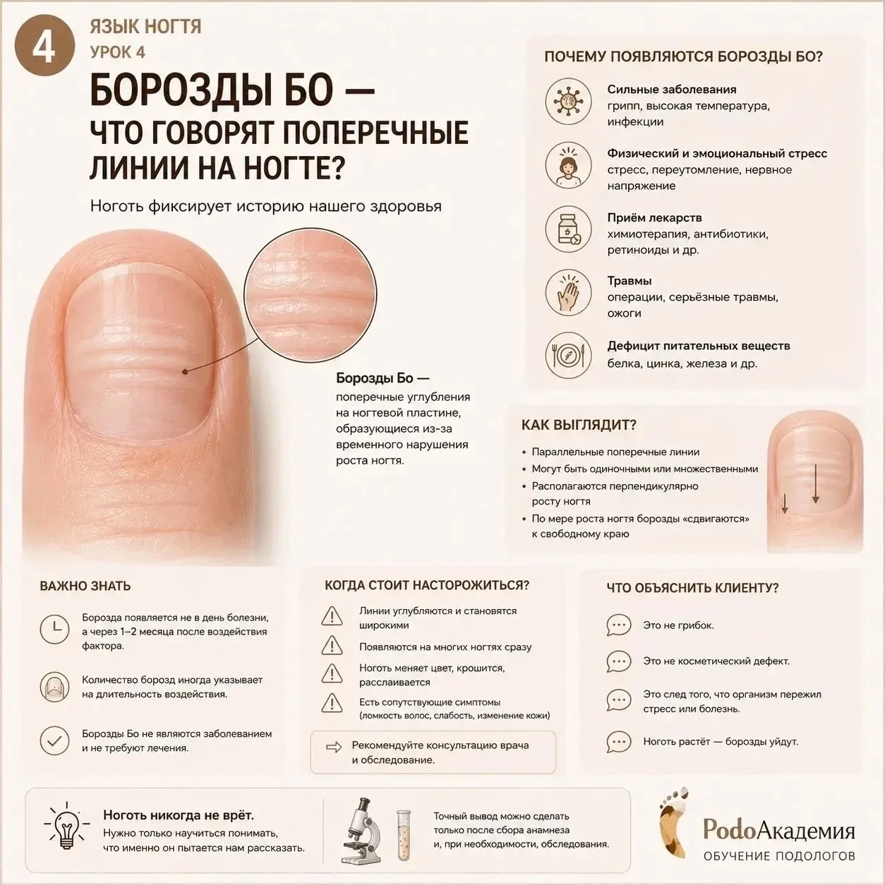 ЯЗЫК НОГТЯ | Урок 4