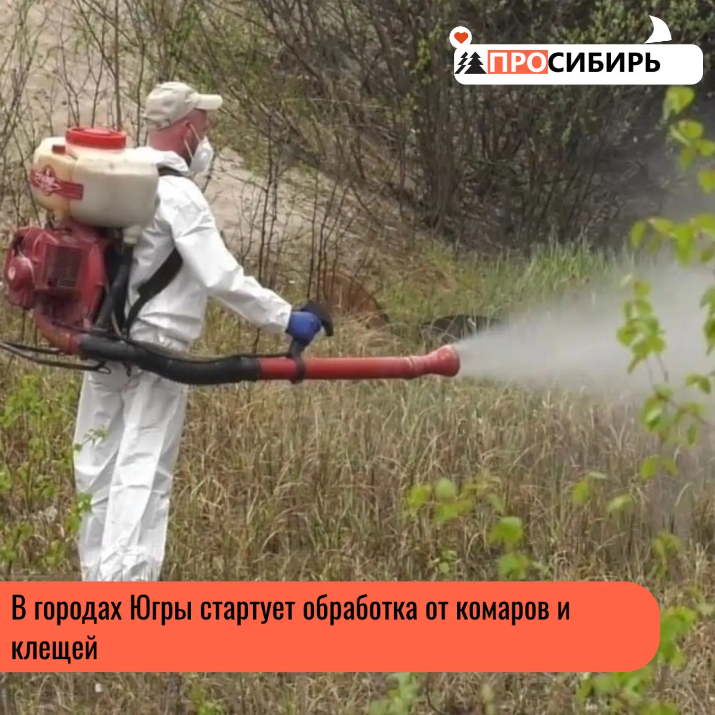 В городах округа стартует комплекс обработок территорий от комаров и клещей — важная ме...