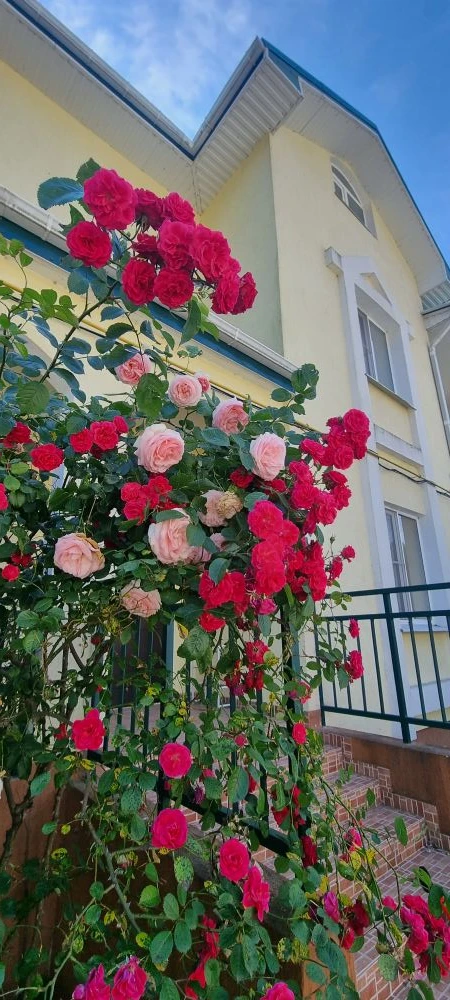 Розы в Малахите 🥀🥀🥀💦#кудасходитьвТуапсе #достопримечательностиАгой #красивыеместаТуапсе #экскурс