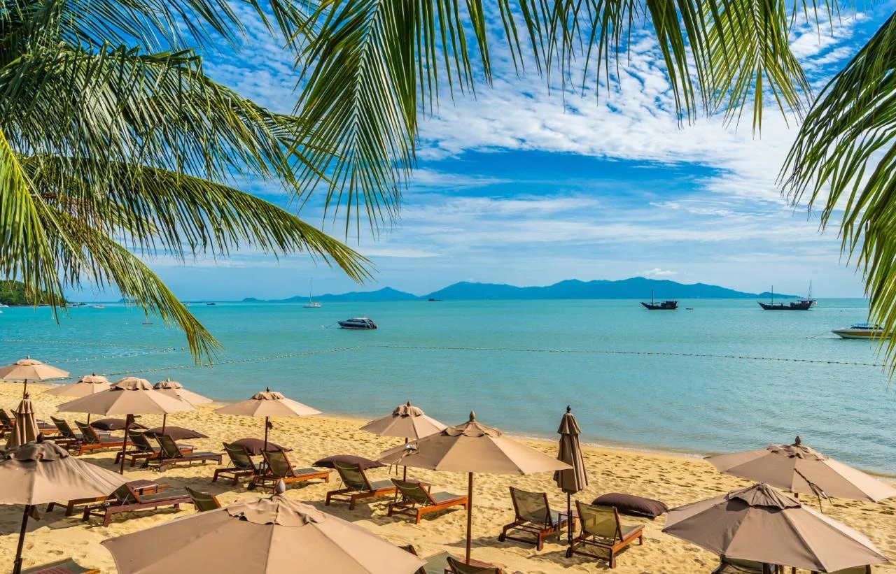 🌞WB Travel открывает два новых отеля в Турции. Уже смотрели, что это за места?