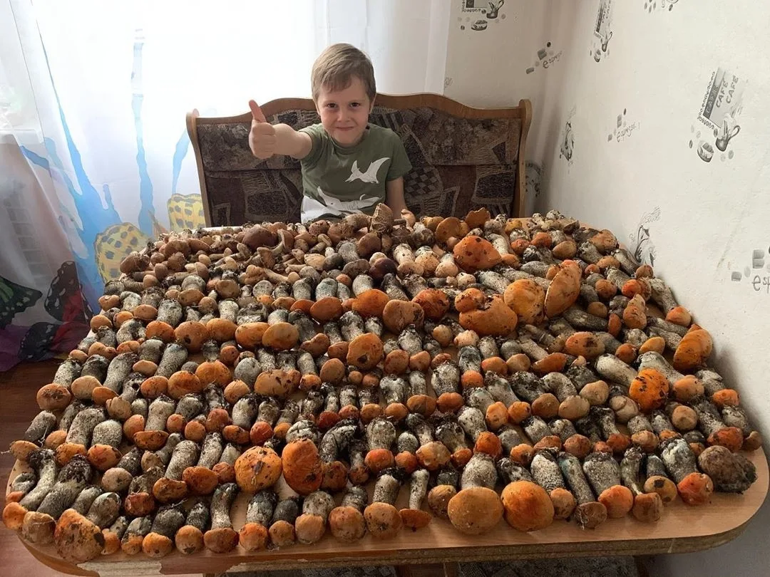 Хорошее 1 сентября!😄🍄 #2020