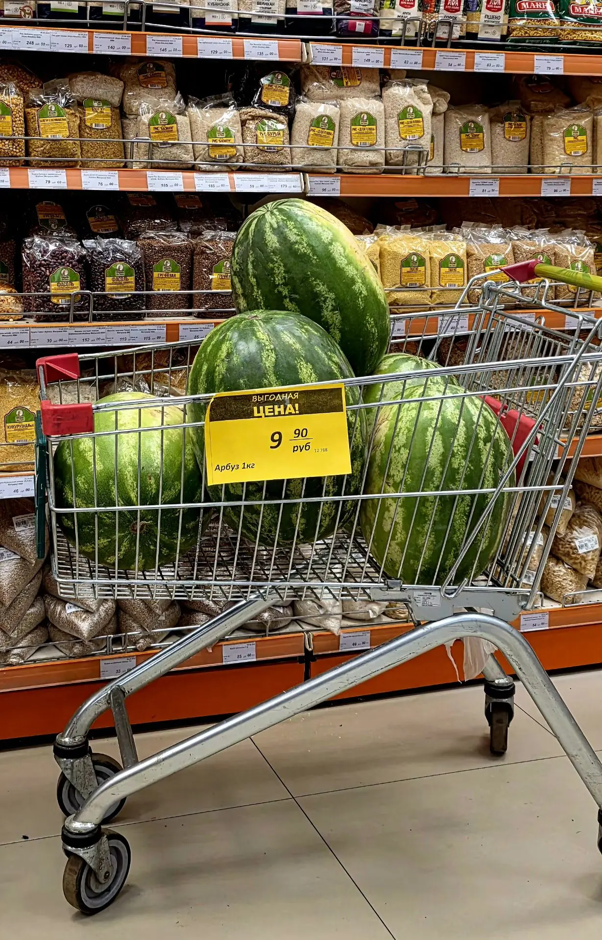 Арбуз 🍉 🔥