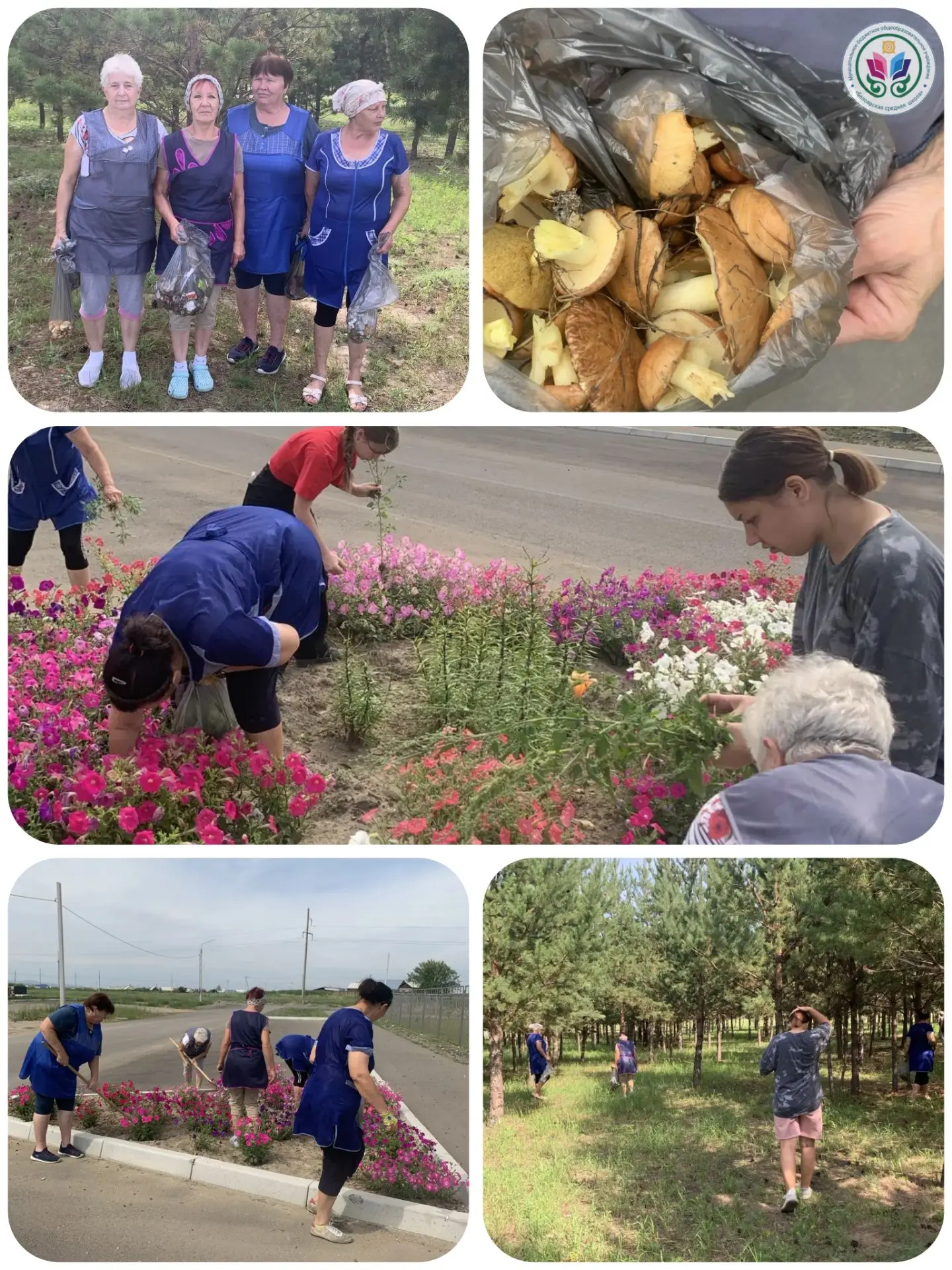 Сегодня в рамках акции «Чистый четверг» 
🧑‍🔧работники Белоярской средней школы провели уборку на т