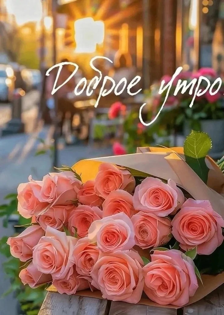 🥰 Ставьте реакции и делитесь открыткой с близкими ❤️
🌺 КРАСИВЫЕ ОТКРЫТКИ 🌺 👉 Подписаться