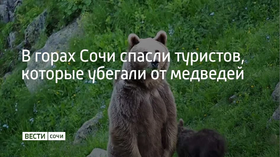 В горах Сочи в районе перевала Медвежьи ворота на высоте около 1900 метров заблудилась ...
