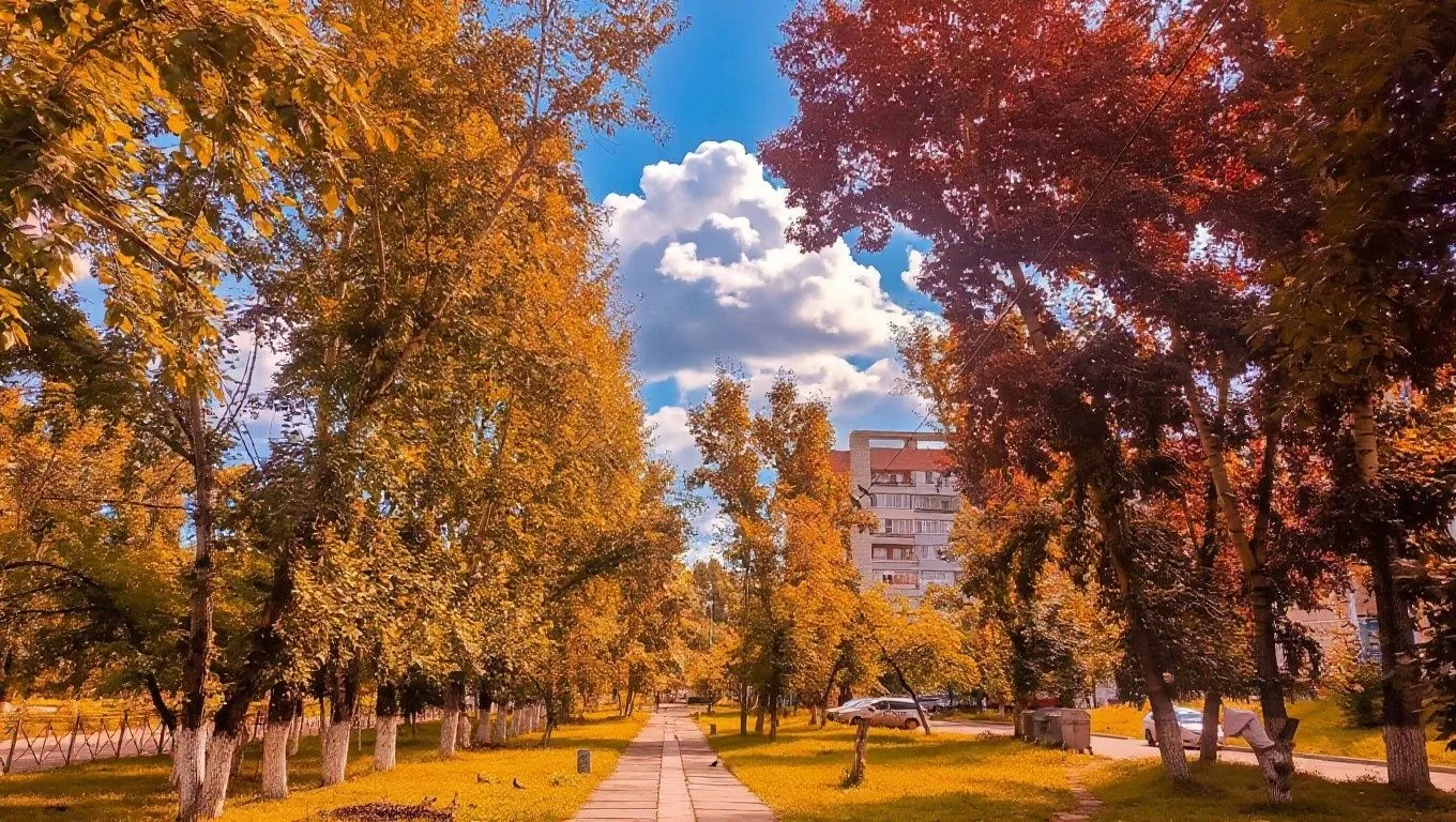 Осень в Краснокаменске