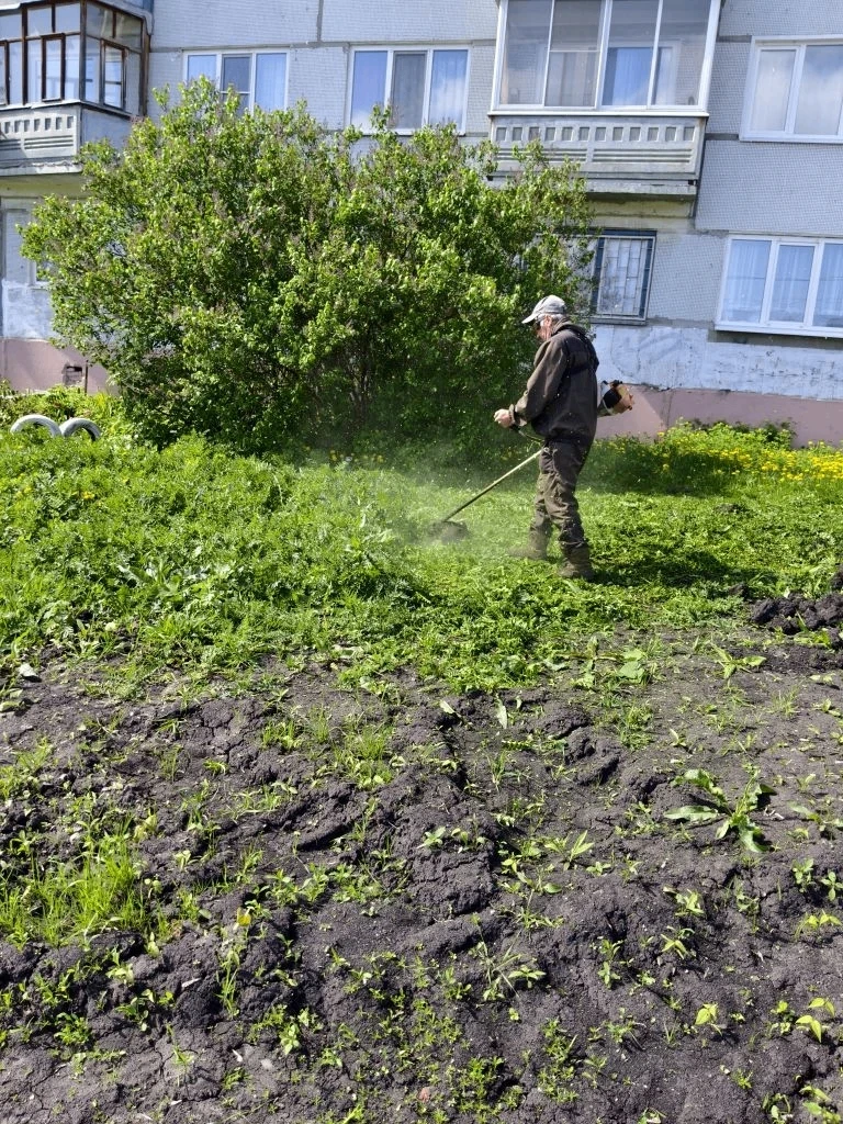 Понедельник — старт новым делам. Впереди целая неделя возможностей! 🍀