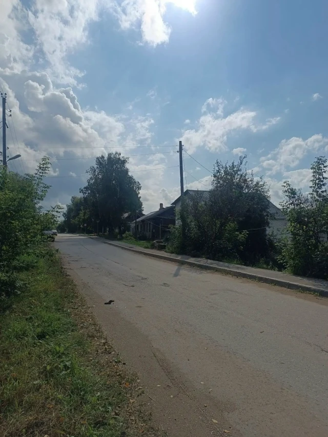 ‼Во время майского урагана было повалено много деревьев. Их утилизировали, но в Балезин...
