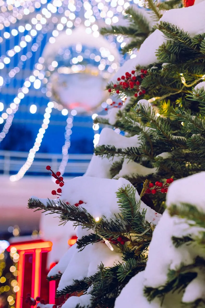 "Рождественская сказка в Москве" экскурсионный тур на 4 дня 🎄