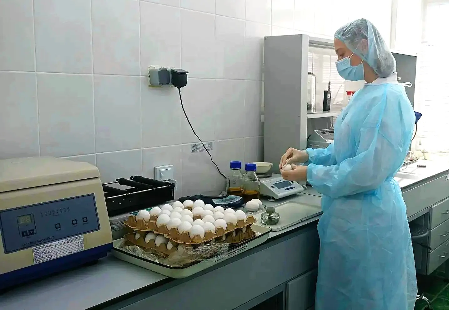 Микробиологическая безопасность яиц