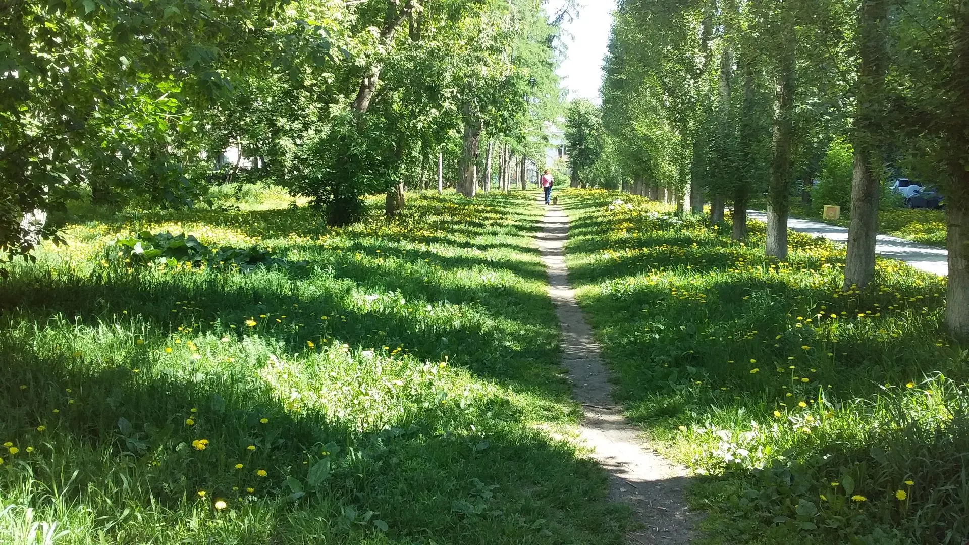 📷 май 2020. Стахановская