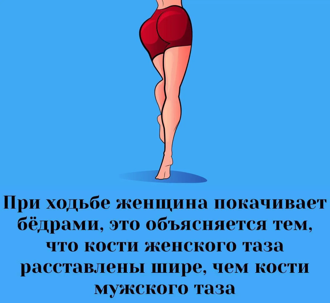 Сексология