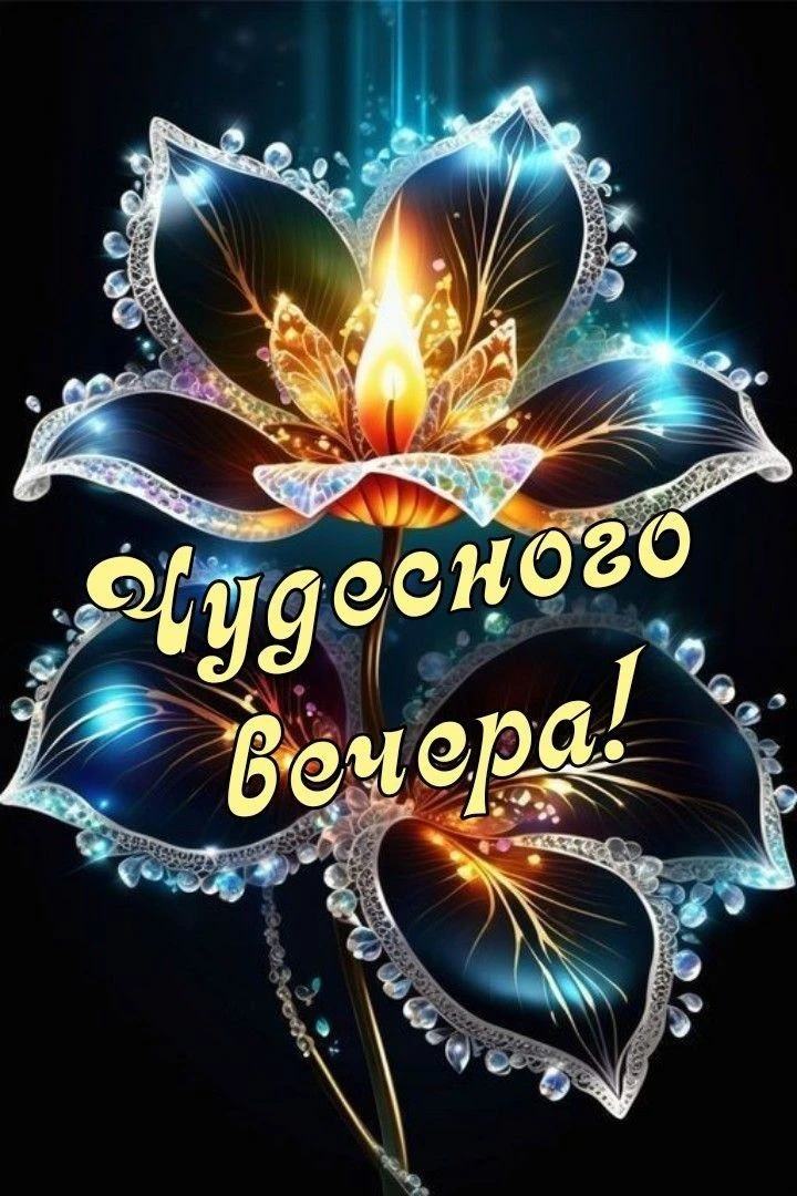 Хорошего вечера! Приятного отдыха! ✨💐