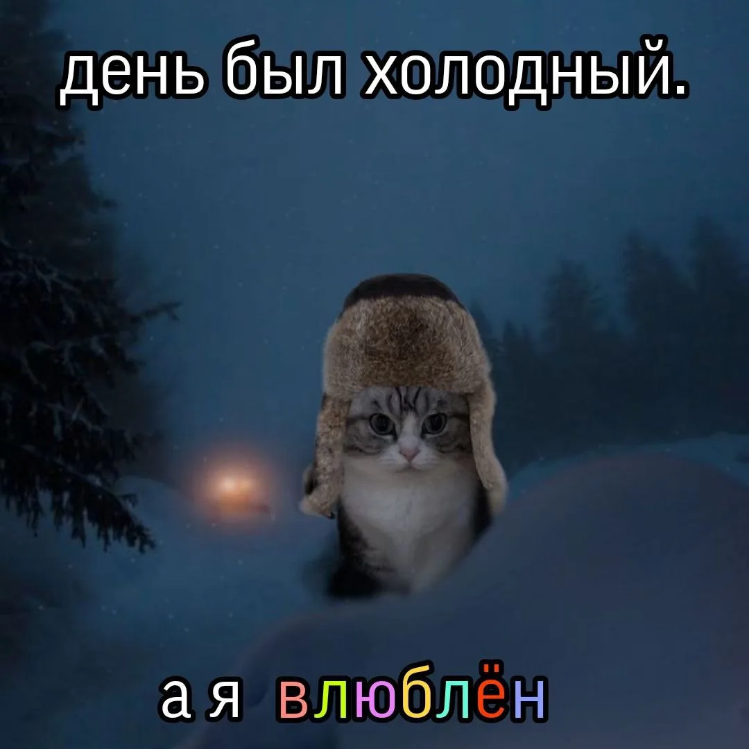котики завели канал и размышляют о жизни 🚬