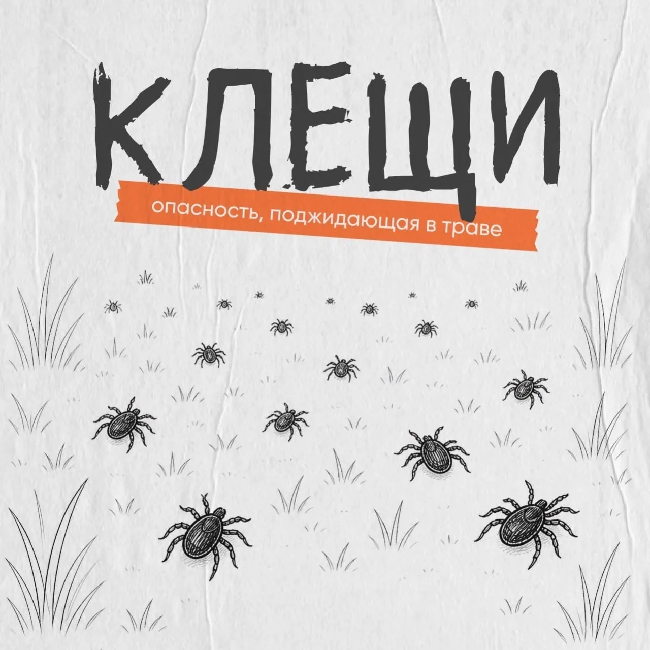Осторожно, клещи!