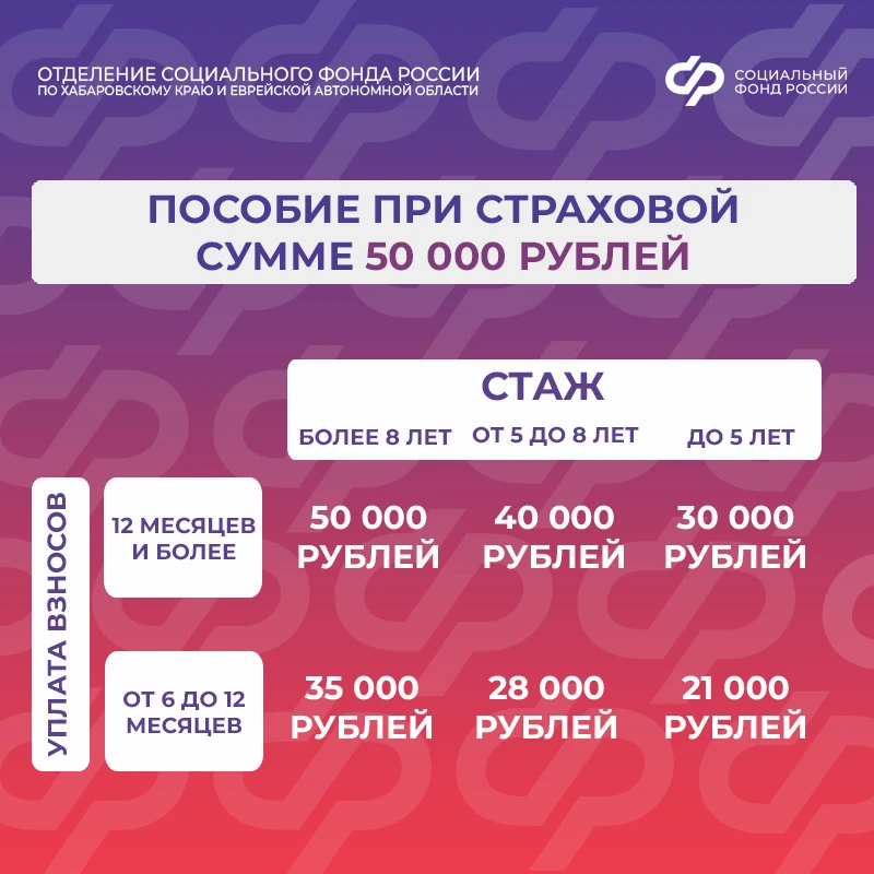 ✅ Самозанятые смогут получать выплаты по больничным листам  С 2026 года в Хабаровском крае и Еврейск
