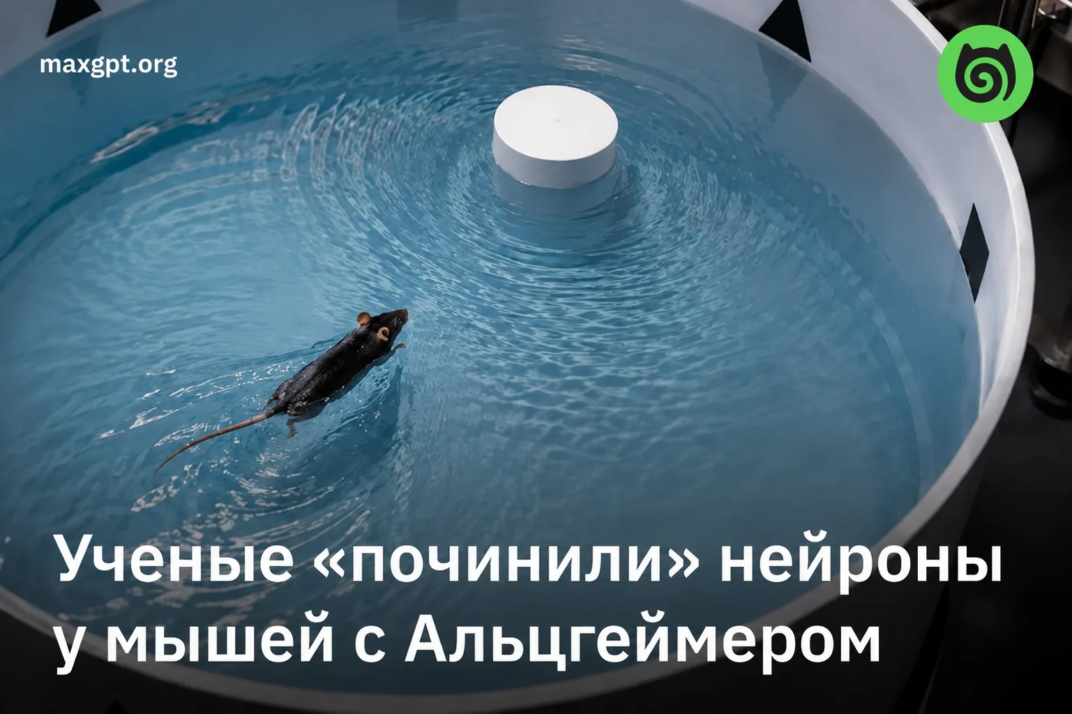 💻 Ученые заменили утраченные нейроны у мышей с болезнью Альцгеймера