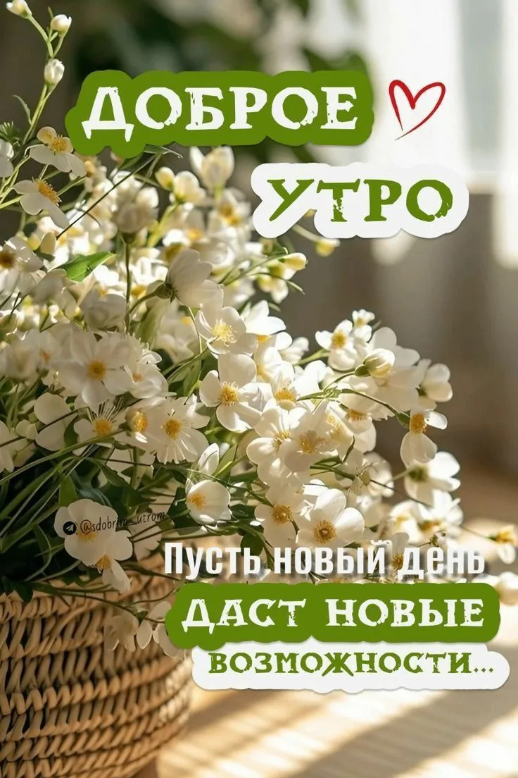 Пусть каждый ваш день будет наполнен позитивом и успехом! 🌟