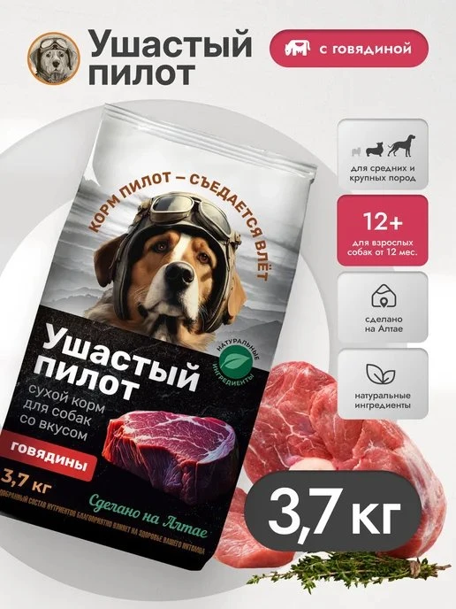 🔥 ЦЕНА УПАЛА НА 22%
