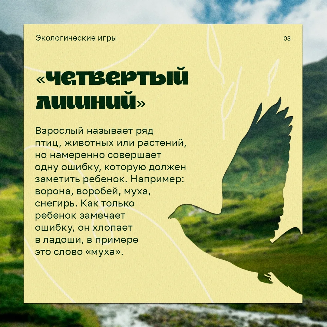 Экологическое воспитание начинается с простых и увлекательных игр 🌿