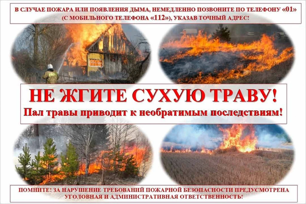«Цена одного костра: административная и уголовная ответственность за сжигание травы»