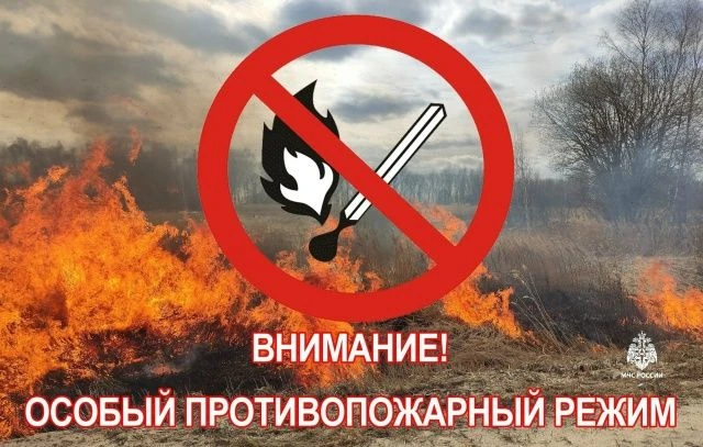 ‼️С 13 июня и до особого распоряжения в лесном фонде республики действует особый противопожарный реж