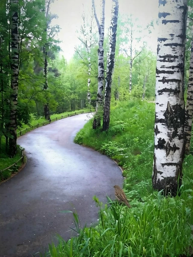 От подписчика.