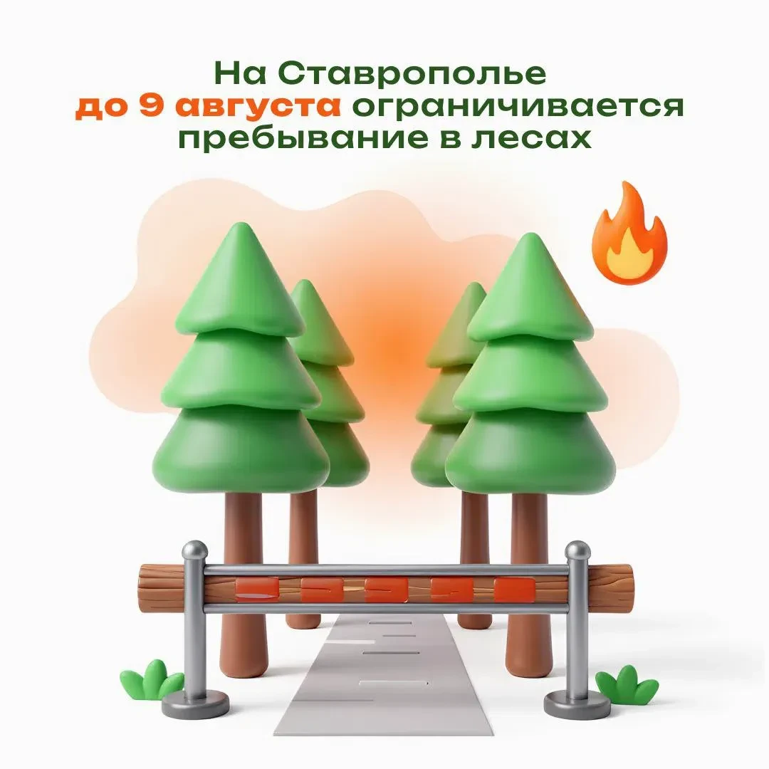 Ограничения на пребывание в лесах продлены на Ставрополье🌳 

Меры необходимы для обеспечения пожарн