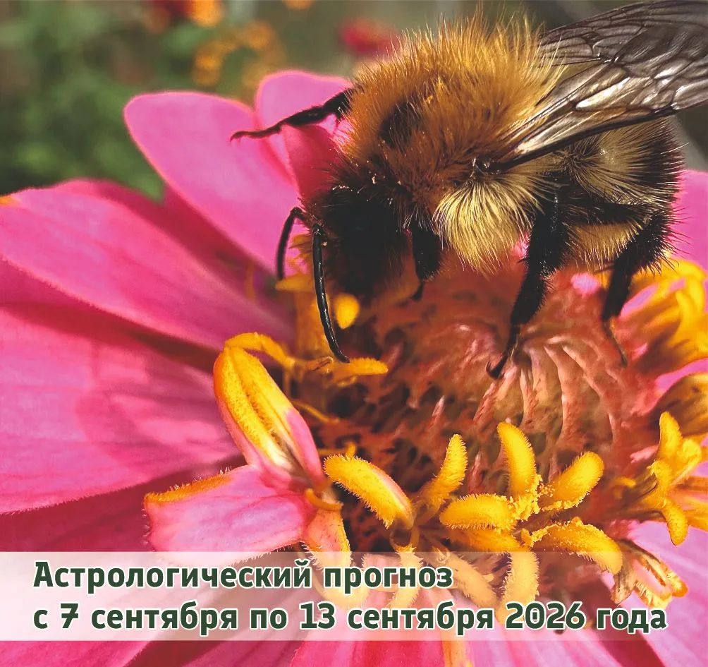 ОВЕН (21.03 - 20.04).