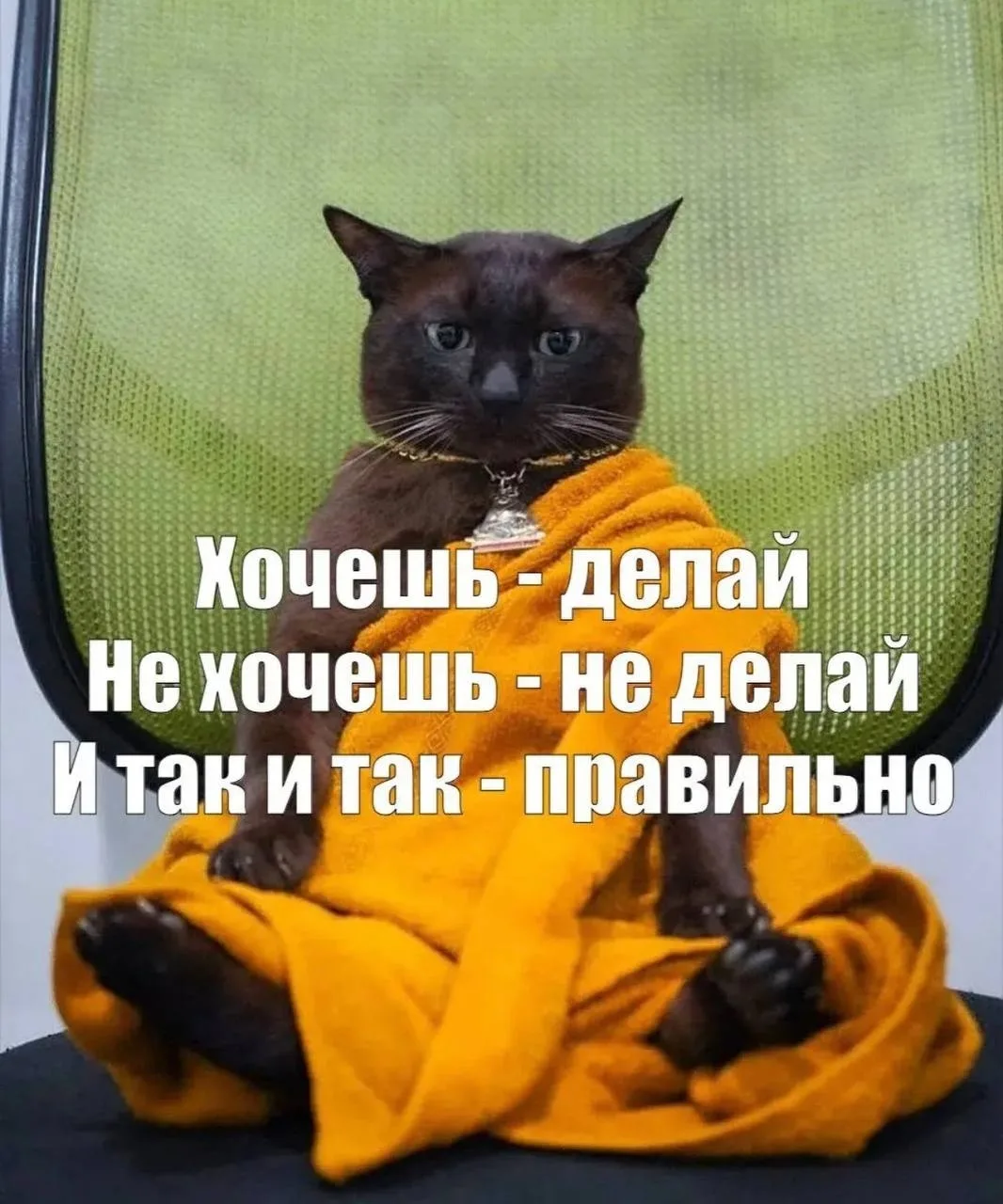 Доброе утро, Озёрск 🤗