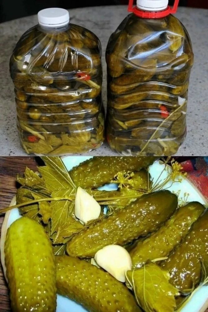 СОЛЁНЫЕ ОГУРЦЫ В 5-ТИ ЛИТРОВЫХ ПЛАСТИКОВЫХ БУТЫЛКАХ. Получаются как настоящие бочковыe.