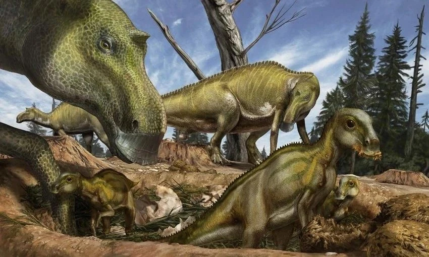 Майазавр (лат. Maiasaura peeblesorum) — динозавр, живший в позднемеловую эпоху примерно...
