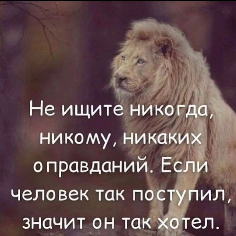 🎯 Мудрость народная ☀️