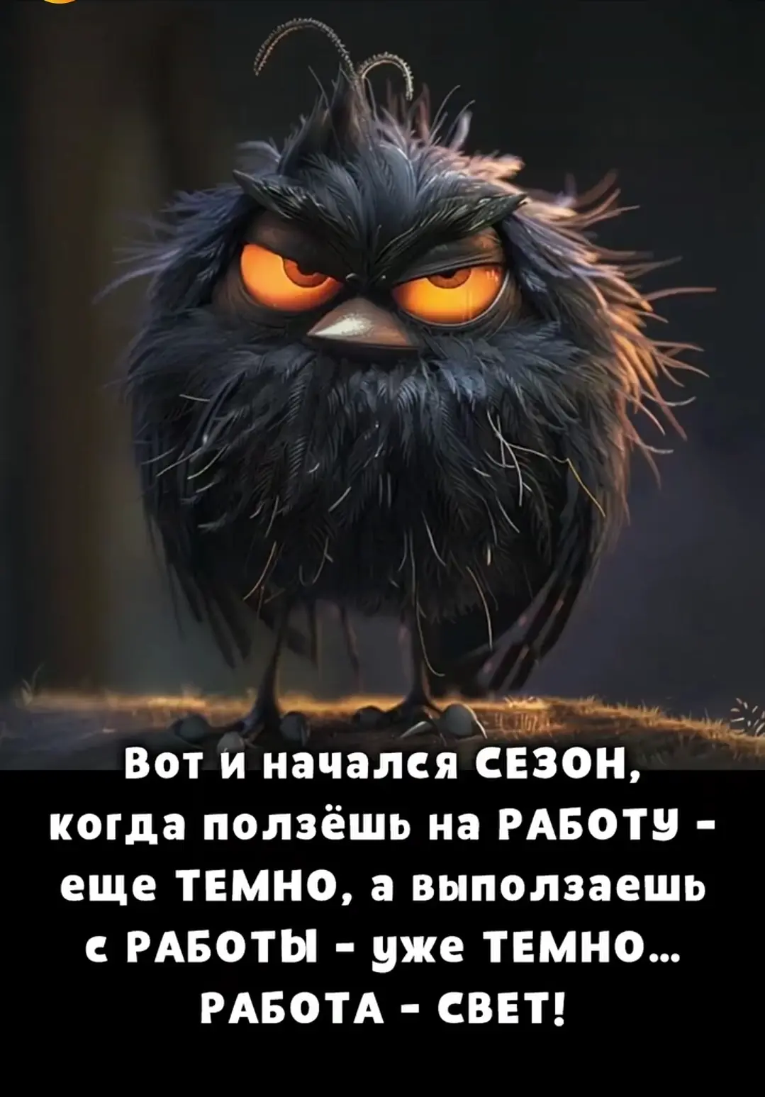 #обои #обои_для_девушек