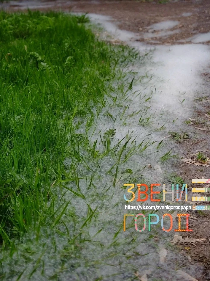 «Тополиный пух, жара, июль...» Почти так и есть.  В Звенигороде, как и по всей Московской области, с