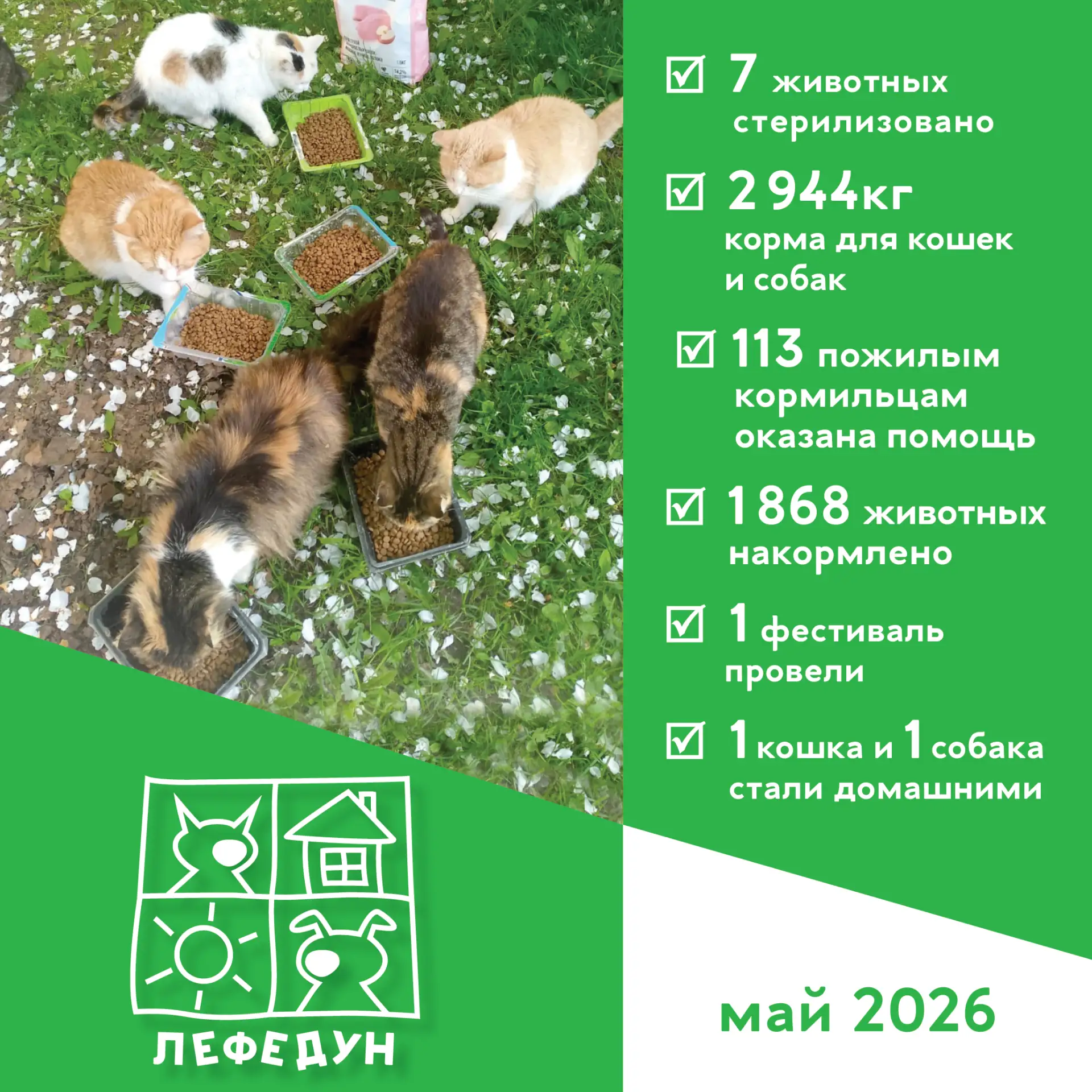 🐾  Две новые семьи, закрытая цель и кое-что еще – таким был наш май!