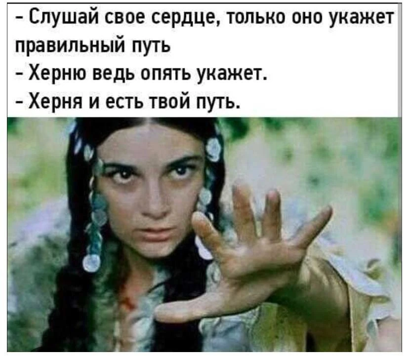 Сердце или разум? 🫀 🧠