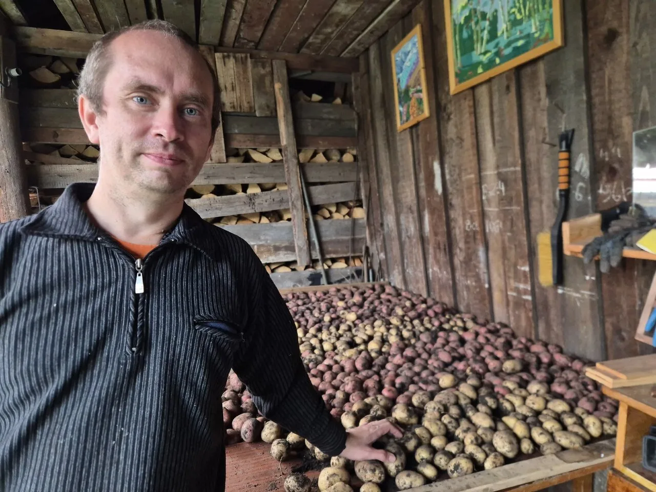 жиза 🥔