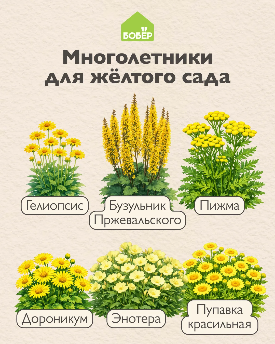 Добавьте солнца в свой цветник ☀️