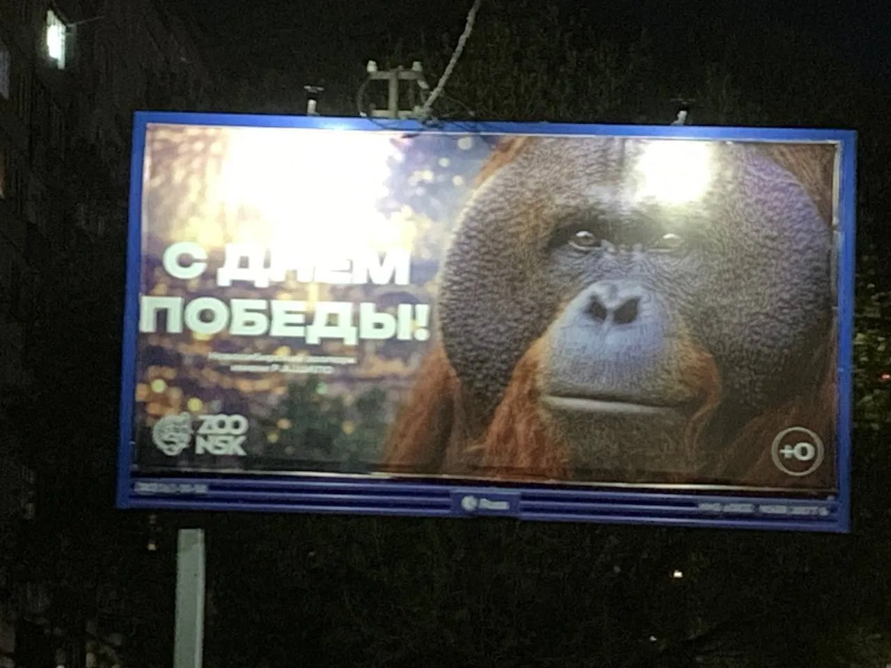 ⚡️Инцидент дня: Новосибирцев поздравили с Днём Победы при помощи…обезьяны.    Рекламщики местного зо