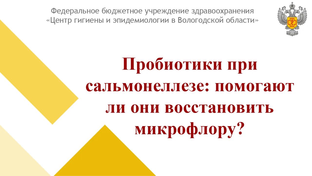Представьте: ваш кишечник — это густонаселенный мегаполис, где живут триллионы бактерий...