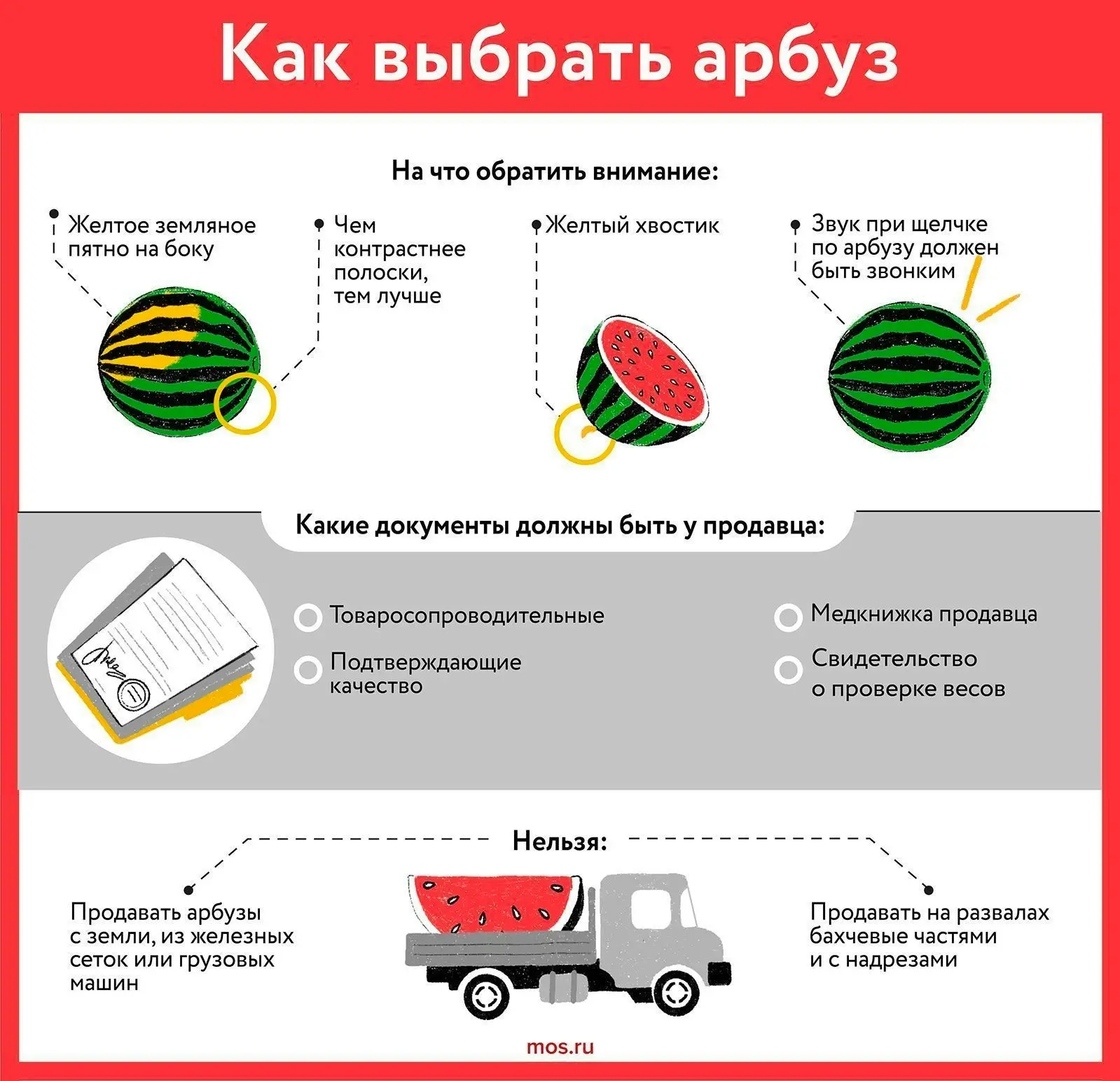 Румянцево | Тропарёво | Саларьево | Москва🏡

🍉Сезон арбузов в Москве: как выбрать сладкий и безопа