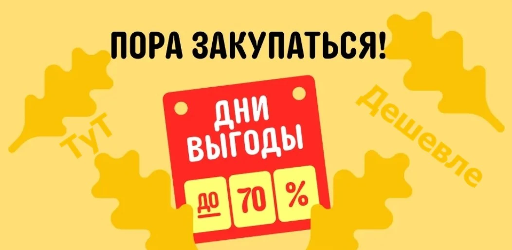 🛍️ Добрый вечер! Напоминаю, что завтра в 9:59 мск заканчивается распродажа Дни Выгоды!